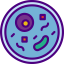 Petri dish icon 64x64