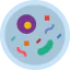 Petri dish icon 64x64