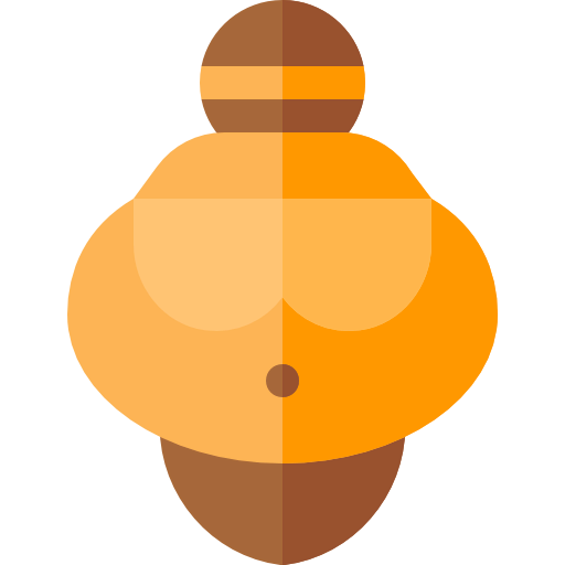 Venus icon