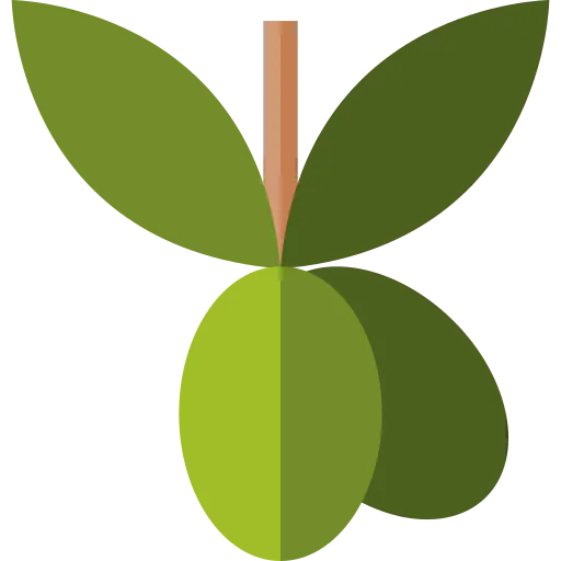 Olives icon