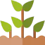 Plant icon 64x64