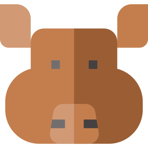 Pig icon