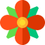 Flower icon 64x64