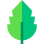 Leaf icon 64x64
