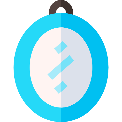 Mirror icon