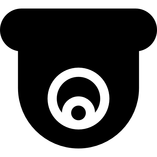 Cctv Symbol