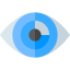 Vision icon 64x64