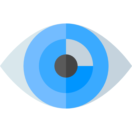 Vision icon