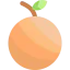 Orange icon 64x64
