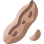 Peanut icon 64x64