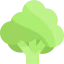 Broccoli icon 64x64