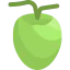 Coconut icon 64x64