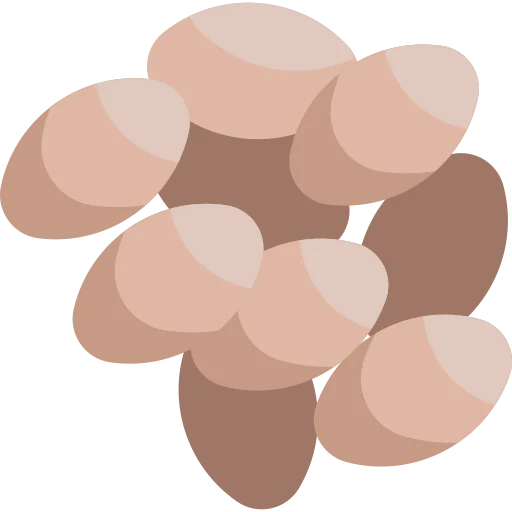 Chia icon