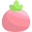 Tomato icon 64x64
