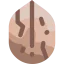 Walnut icon 64x64