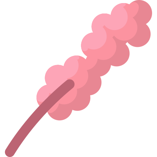 Quinoa icon