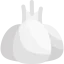 Garlic icon 64x64