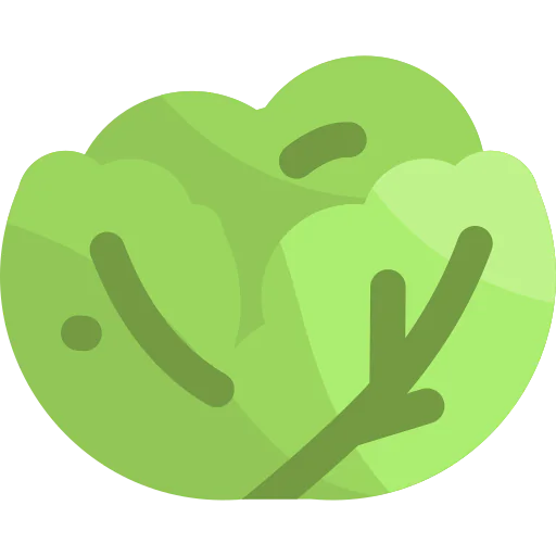 Cauliflower icon