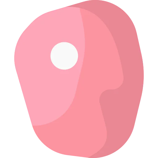 Steak icon