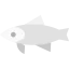Trout icon 64x64
