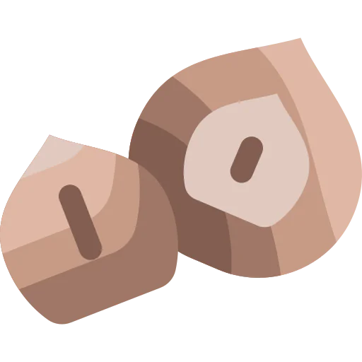 Macadamia icon