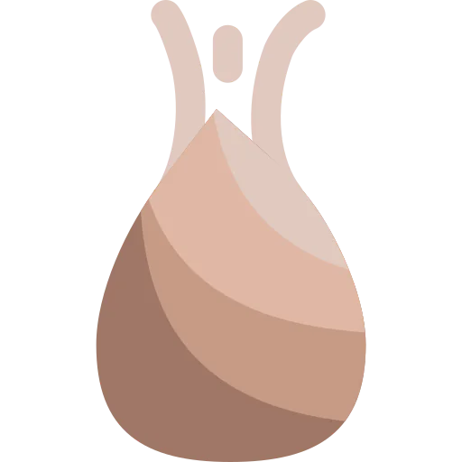 Turnip icon