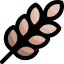 Wheat icon 64x64