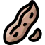 Peanut icon 64x64
