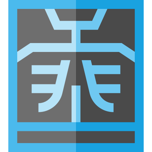 X ray icon