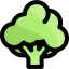 Broccoli icon 64x64