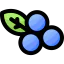 Blueberries icon 64x64