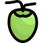 Coconut icon 64x64