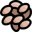 Chia icon 64x64