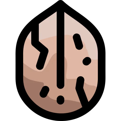 Walnut icon