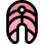 Salmon icon 64x64
