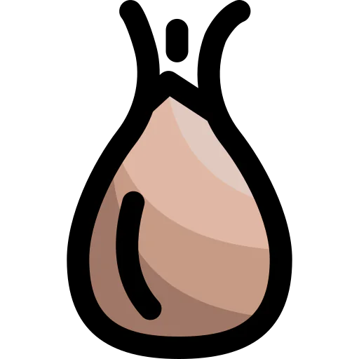 Turnip icon