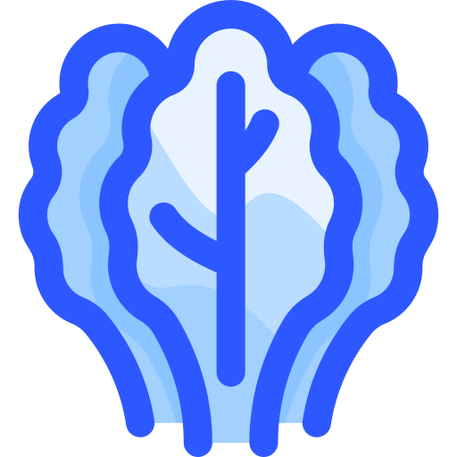 Lettuce icon