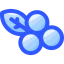 Blueberries icon 64x64