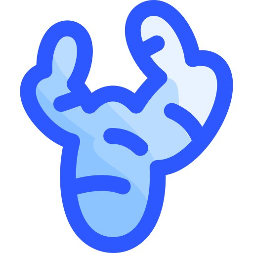 Ginger icon