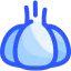 Garlic icon 64x64