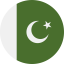 Pakistan icon 64x64