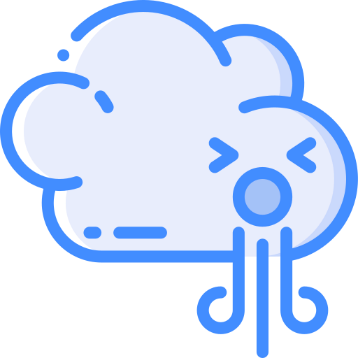 Windy icon