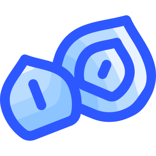Macadamia icon