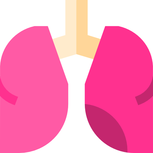 Lungs icon