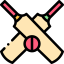 Cricket icon 64x64