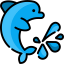 Dolphin biểu tượng 64x64