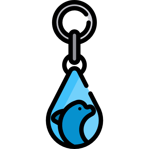 Key ring icon