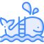 Whale icon 64x64