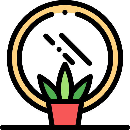 Mirror icon