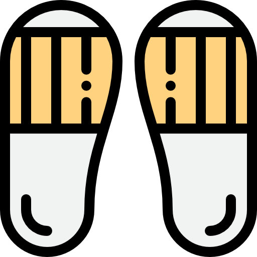 Flip flops icon